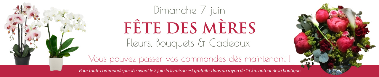 banniere-fete-des-meres