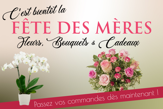banniere-fete-des-meres-mobile
