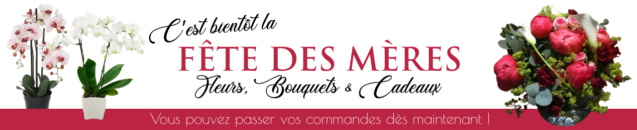 banniere-fete-des-meres